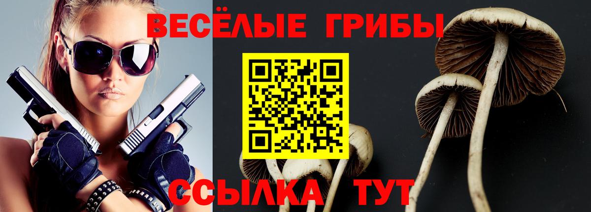 Галлюциногенные грибы ЛСД Семёнов